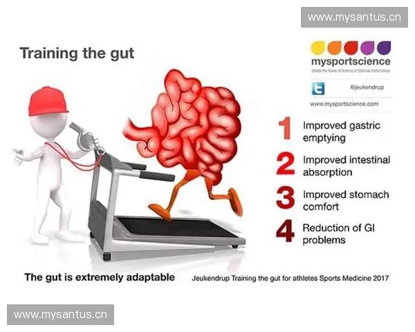 运动过程中如何科学进行能量补给以提升表现和恢复效果