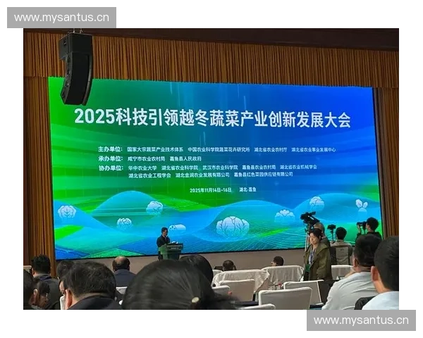 体育产业B端市场深耕策略与合作模式创新分析